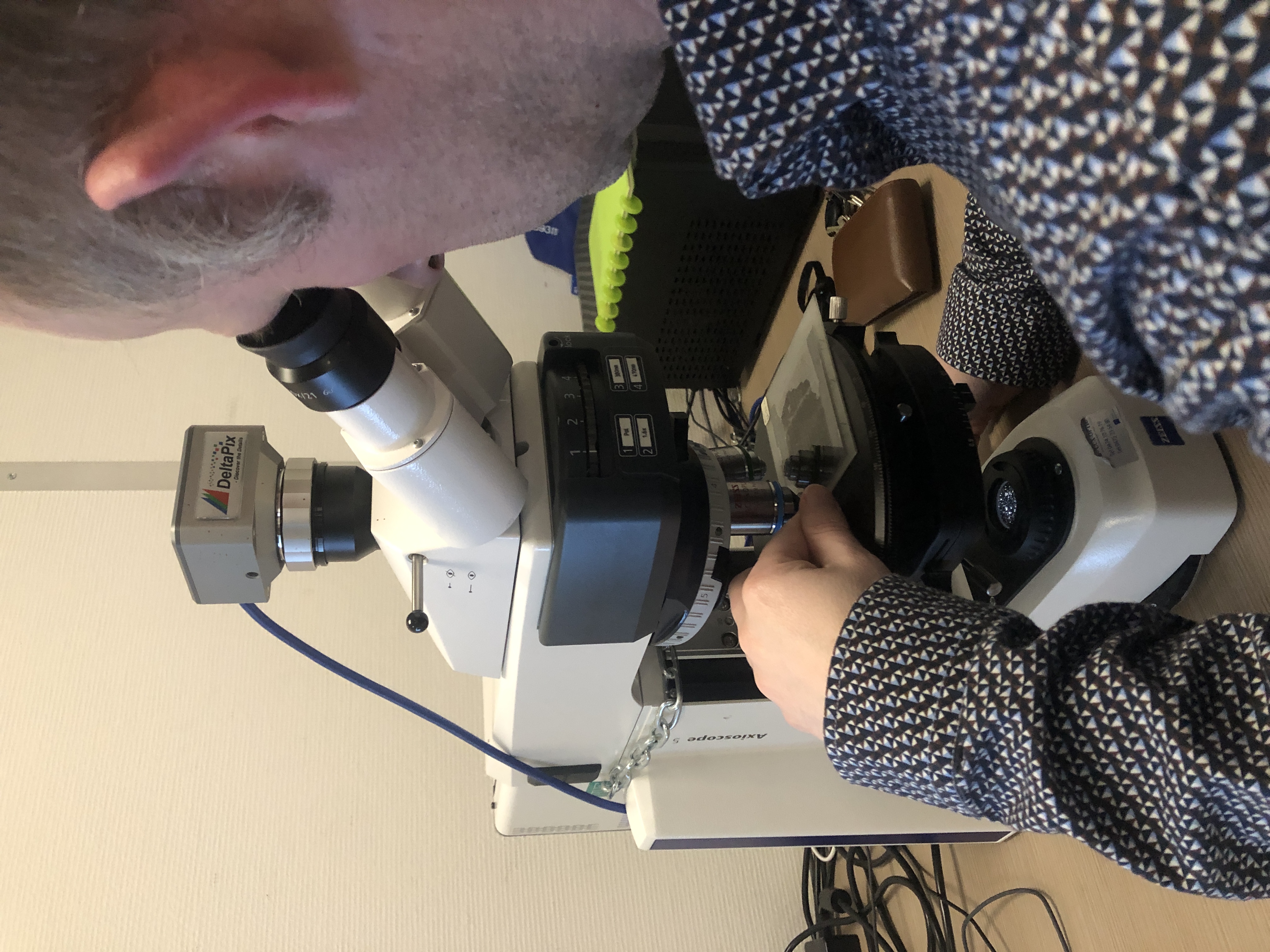 Joint microscopy with the Brussels team.