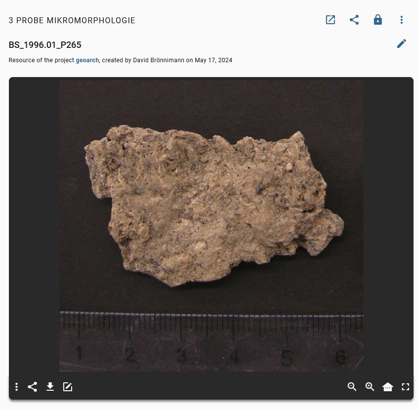 Micromorphological Sample Images