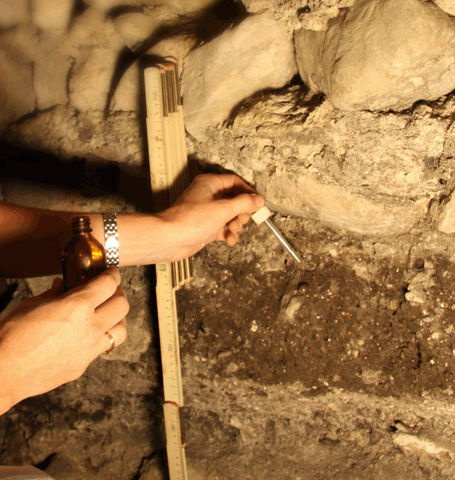 Analysing a Dark Earth deposit in the field.