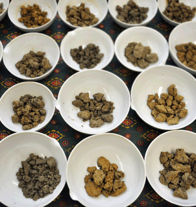 Testing of geochemical methods such as phosphate, RAMAN, SEM analyses on urban Dark Earth