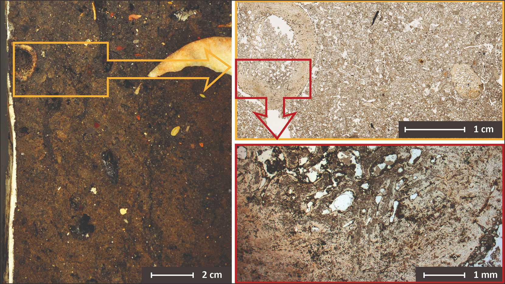 i-GEOARCHive, our open access online database for sharing data and images.