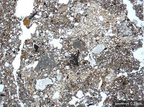 …thin section scans (e.g. Dark Earth deposit at Spiegelhof in Basel).