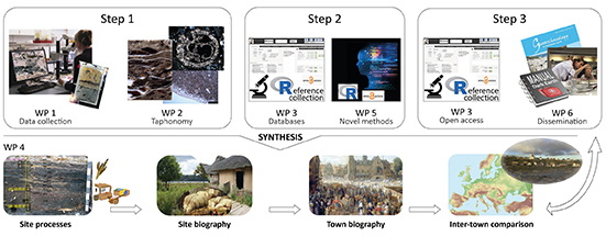Illustration of the project’s workflow